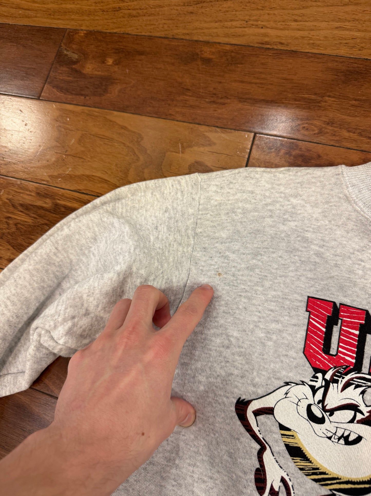 1995 USA Olympics Taz Graphic Vintage Crewneck (Youth L)