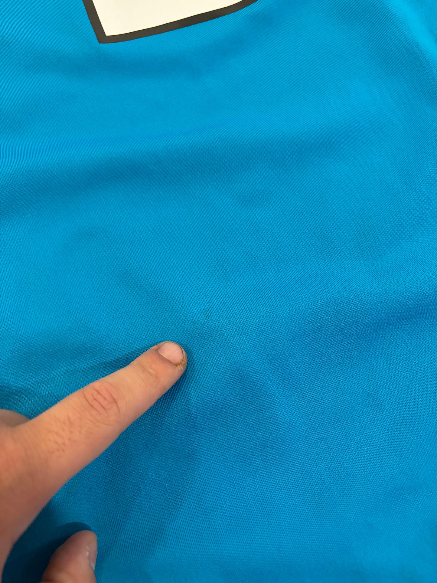 2010s Carolina Panthers Cam Newton Blue Nike Jersey (L)