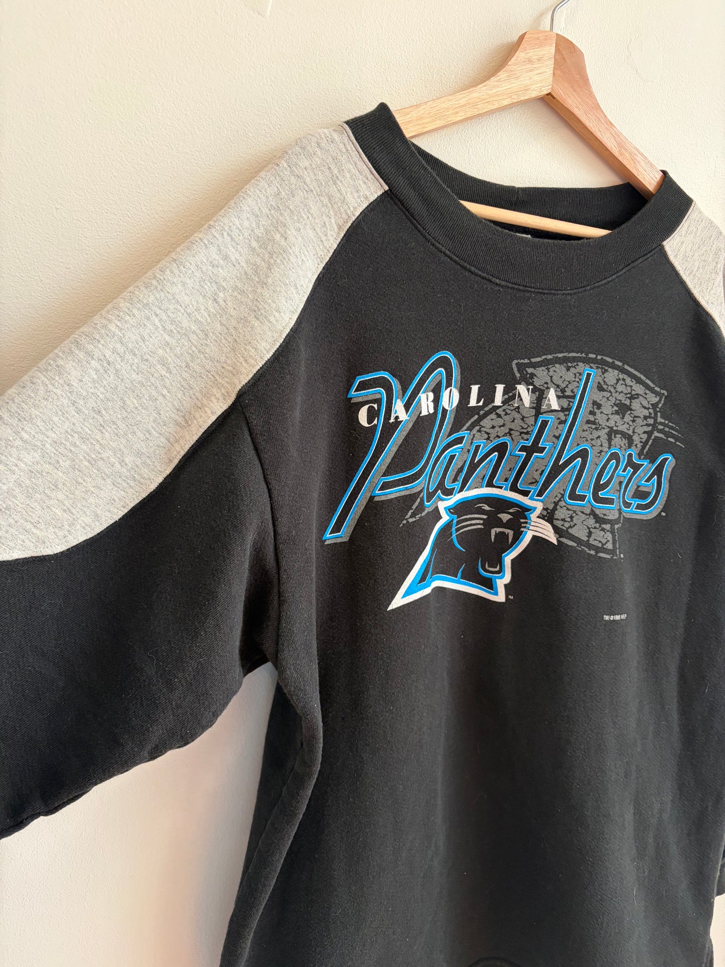 1995 Carolina Panthers True Fan Two Tone Crewneck (L)