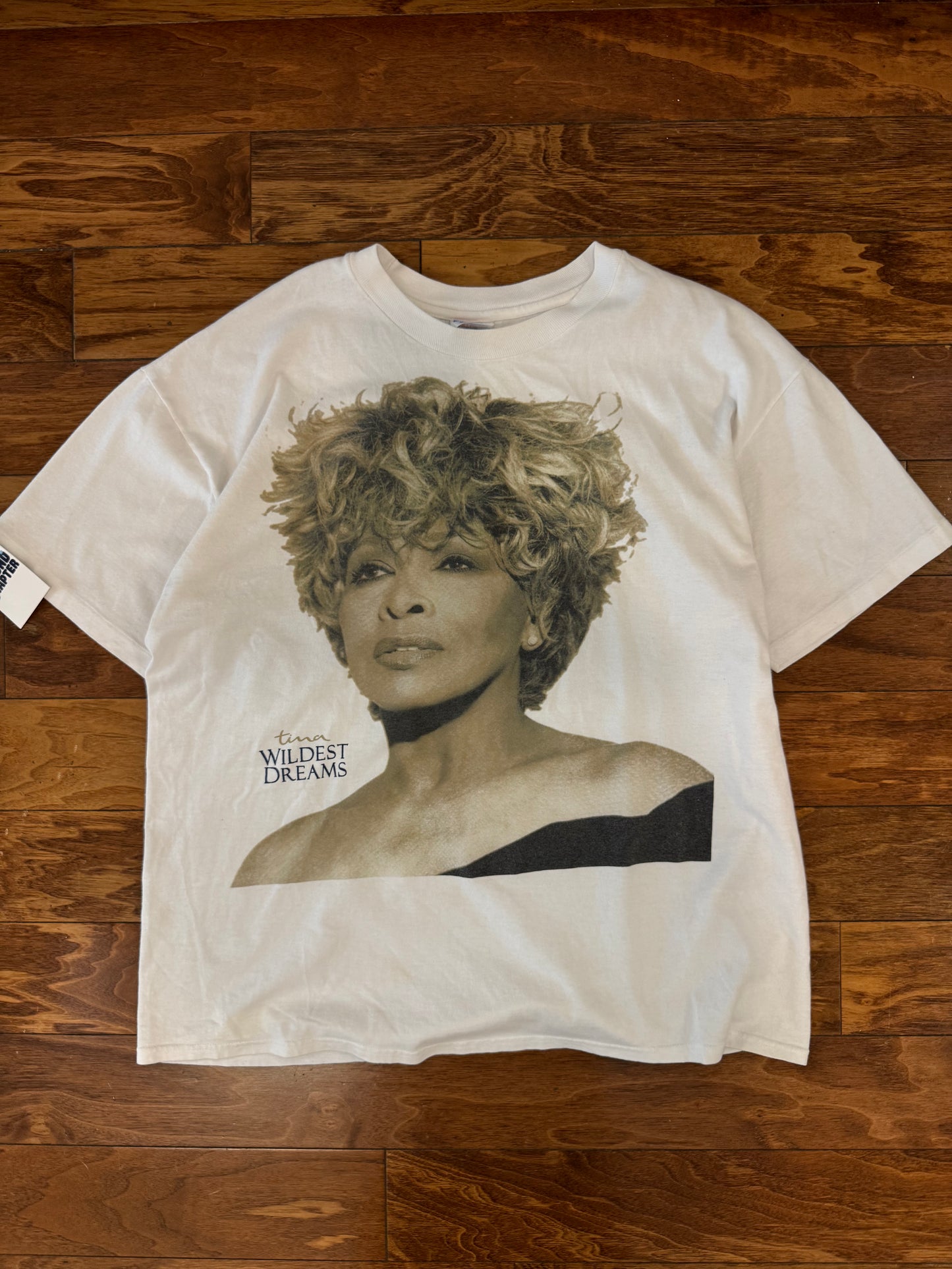 90s Tina Turner "Wildest Dream" Music Vintage Tour Tee (XL)