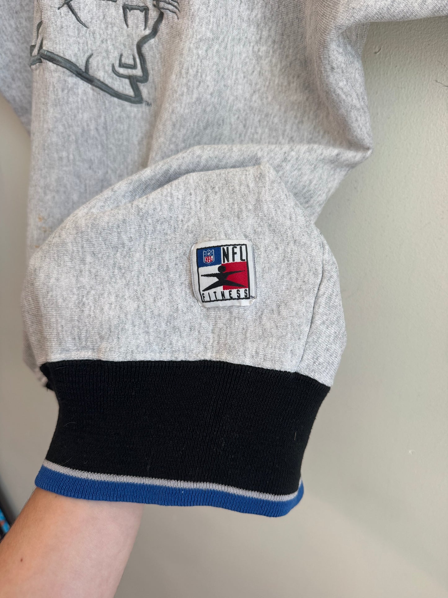 90s Carolina Panthers Legends Sleeve to Sleeve Spell Out Crewneck (XL)