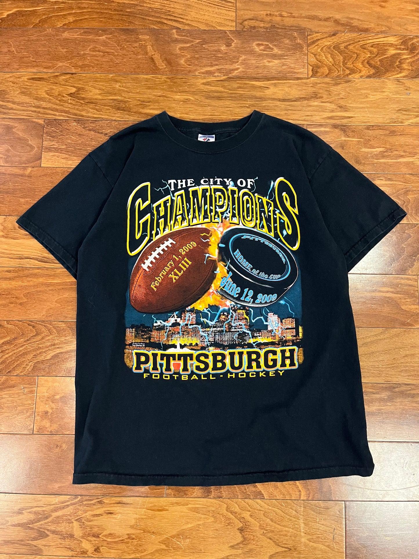 2009 Pittsburgh Steelers & Penguins Champions Tee (L)