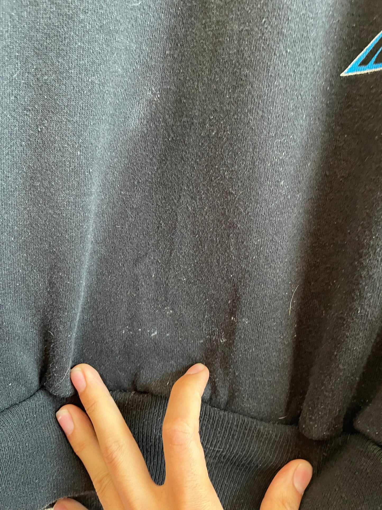 90s Carolina Panther Two Tone Rare Hoodie (XL)
