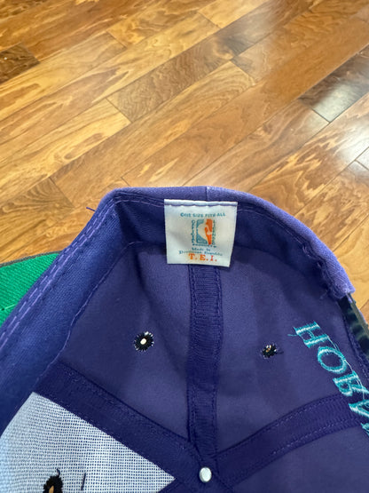 90s Charlotte Hornets Logo Two Toned Hat (OS)