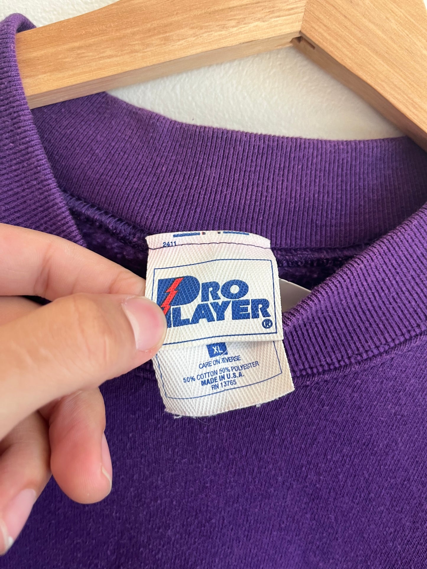 90s Charlotte Hornets Pro Player Purple Crewneck (XL)