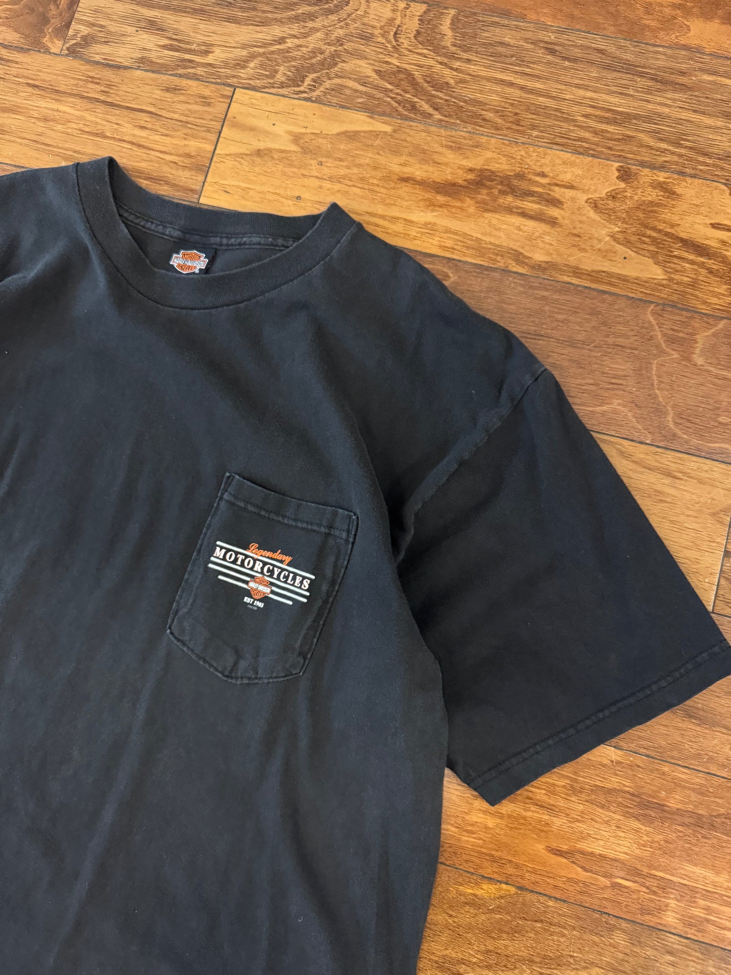 2002 Harley Davidson Pensacola, FL Vintage Tee (XL)