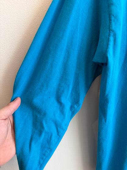 00s Carolina Panthers Blue Cat Scratch Long Sleeve Shirt (L)