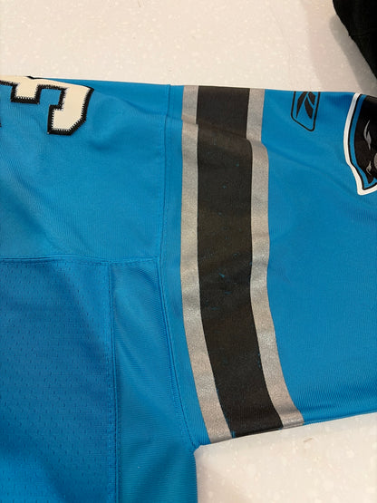 00s Carolina Panthers DeAngelo Williams Blue Stitched Flawed Jersey (XL)