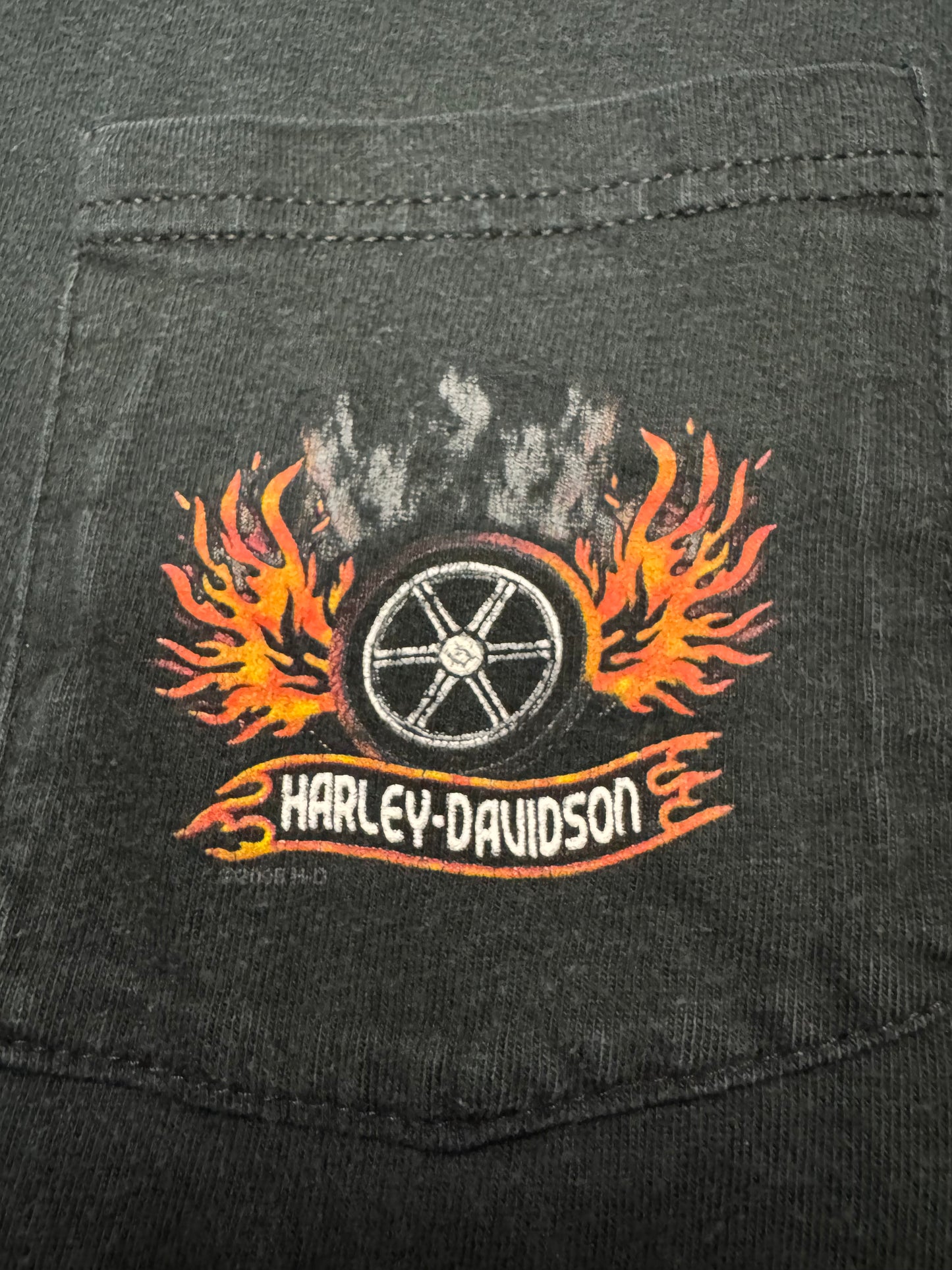 2005 Harley Davidson Flames Long Sleeve Pocket Tee (XL)