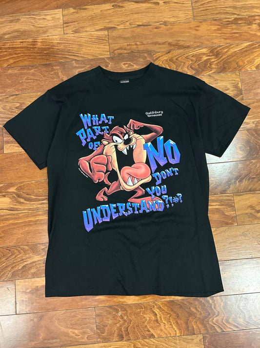 1999 Looney Tunes Taz Gatlinburg Cartoon Tee (L)