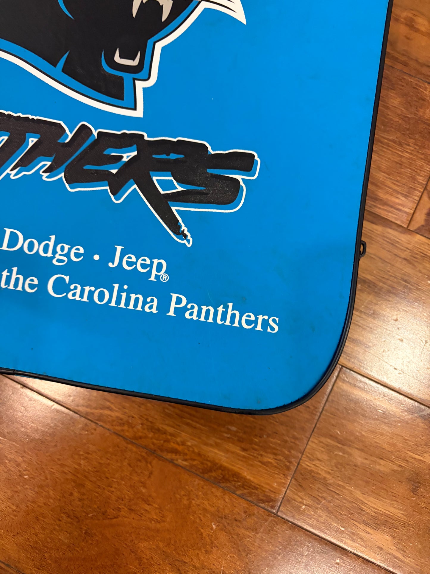 00s Carolina Panthers Stadium Seat Cushion (OS)