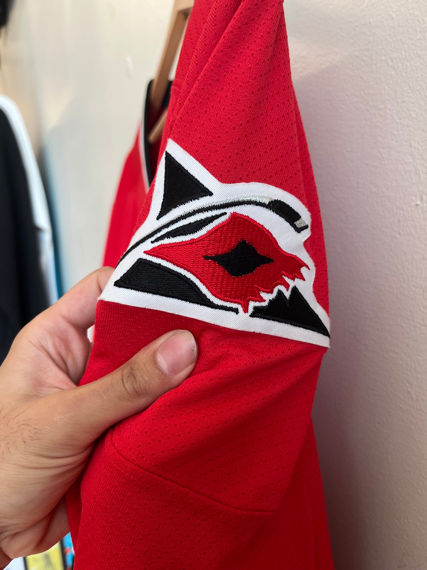 00s Carolina Hurricanes Logo CCM Ice Hockey NHL Jersey (XL)