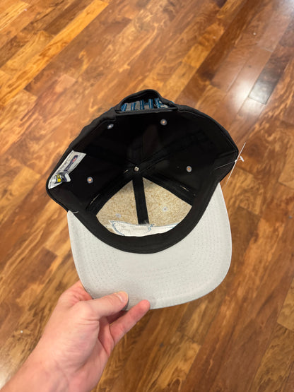 90s Carolina Panthers Big Logo Essential Hat (OS)