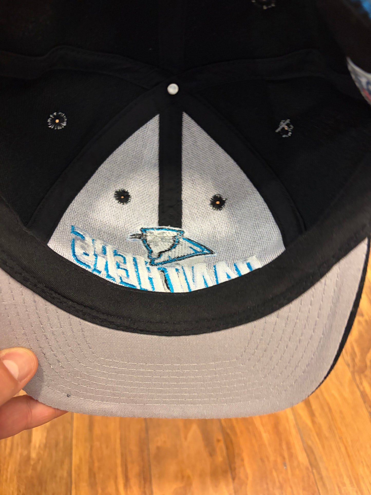 90s Carolina Panthers Grid Logo Athletic Deadstock Hat (OS)