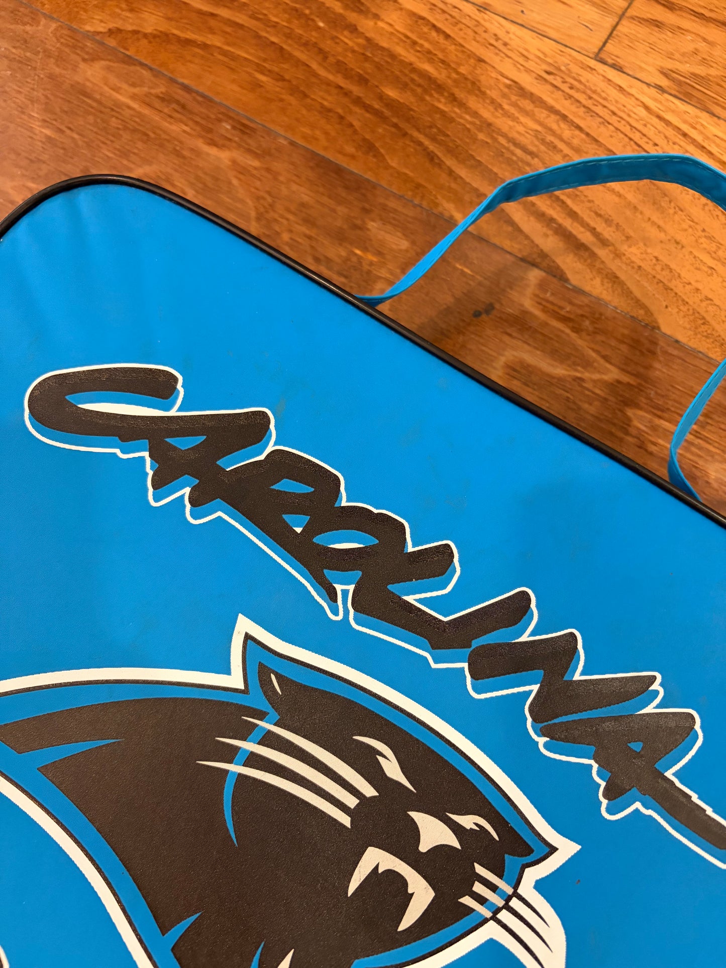 00s Carolina Panthers Stadium Seat Cushion (OS)