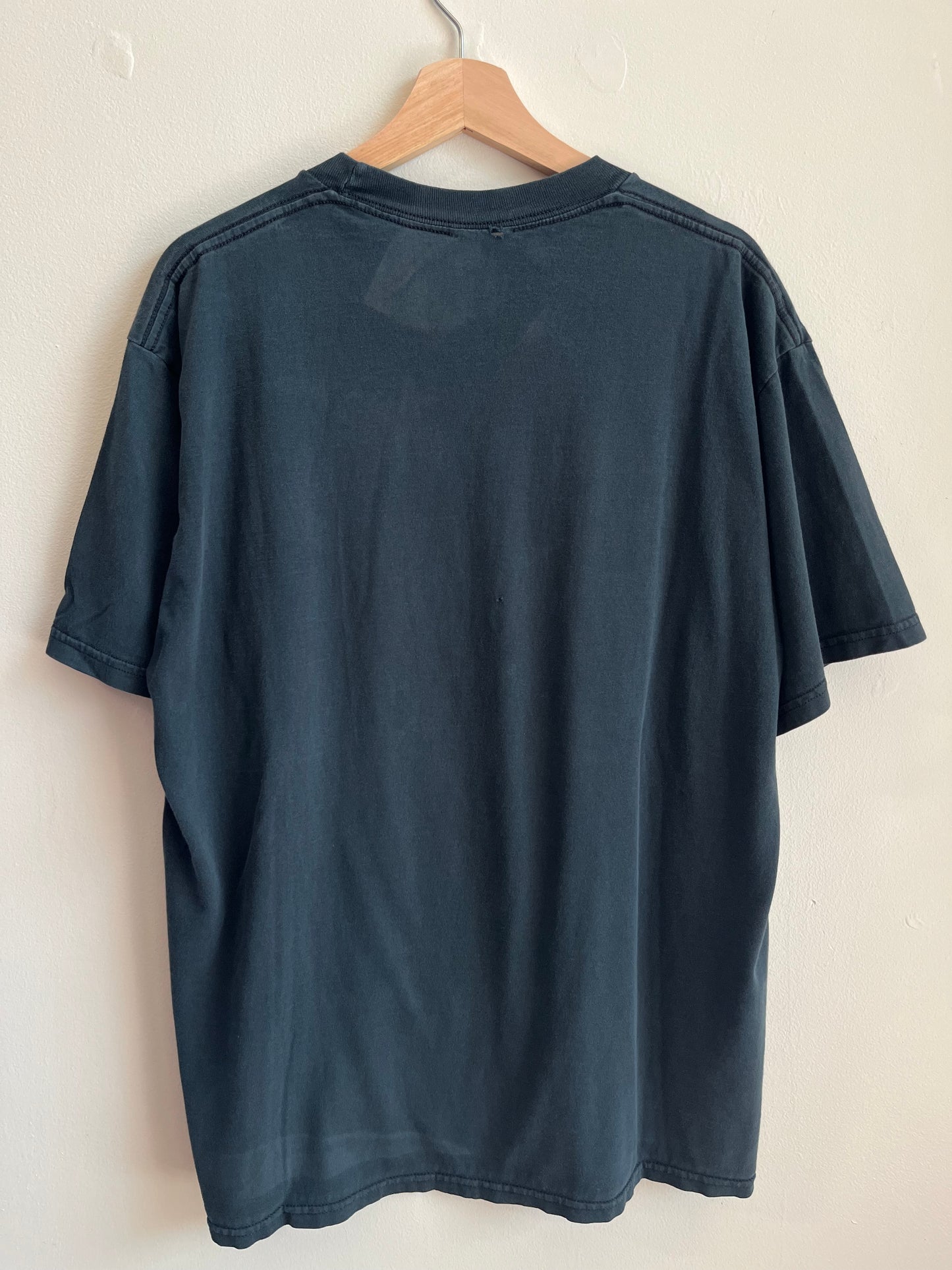 90s Carolina Panthers Faded Spell Out Tee (XL)