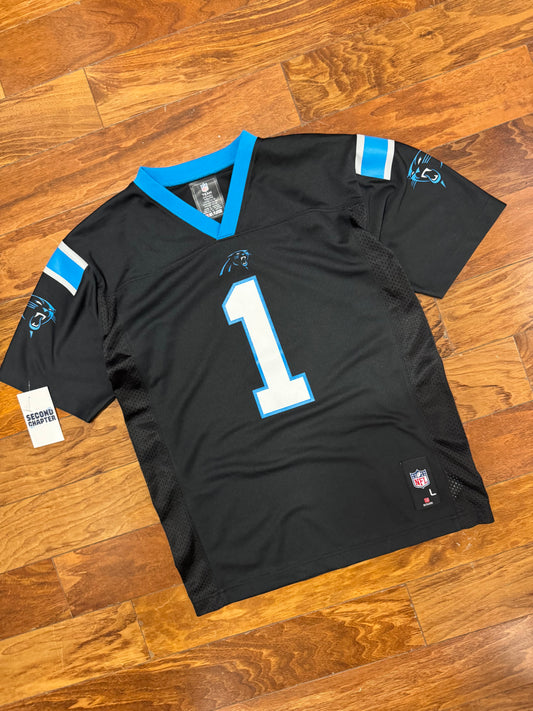 Carolina Panther Cam Newton NFL Team Youth Jersey  (Youth L)