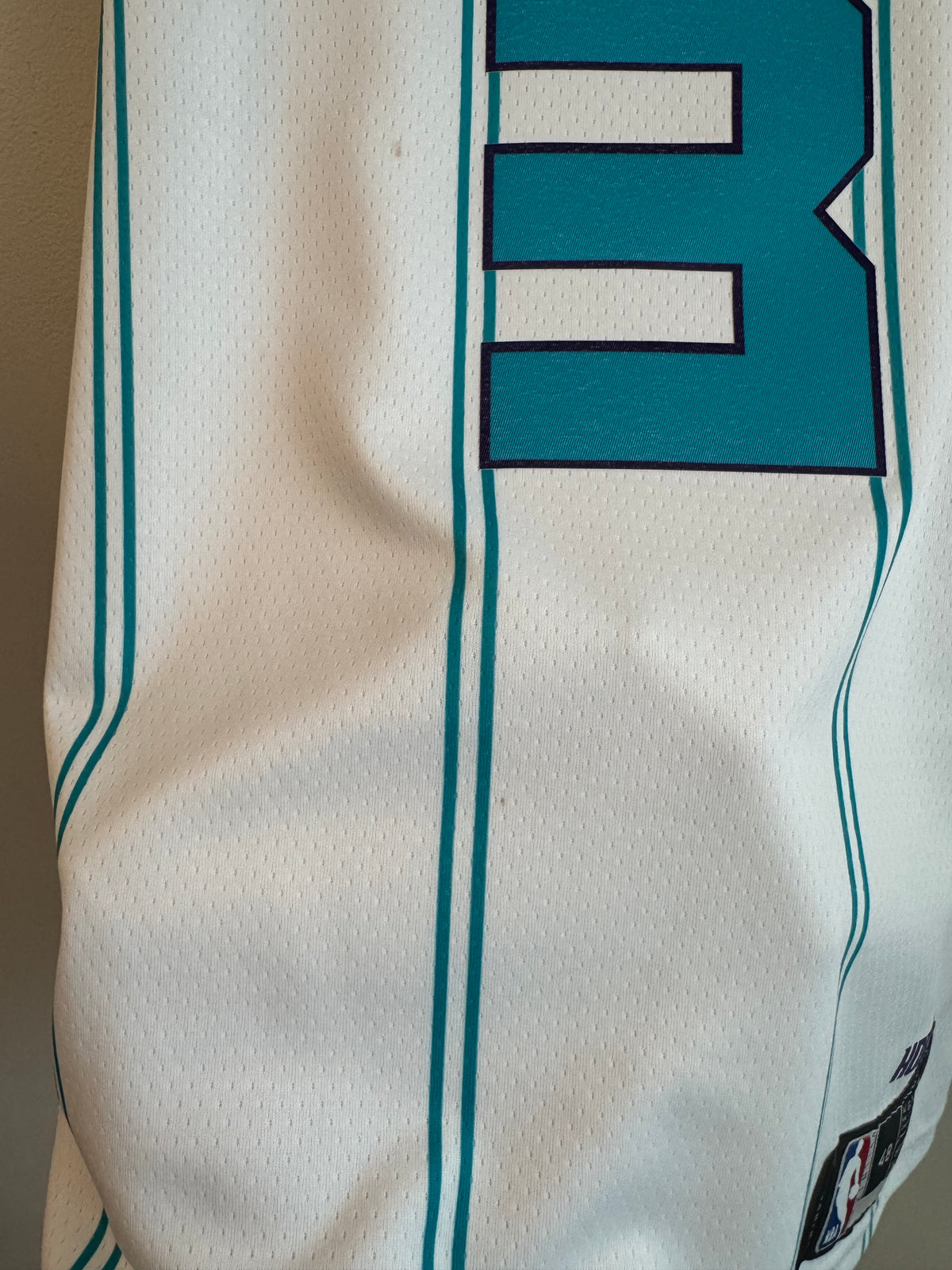 2021 Charlotte Hornets Terry Rozier III Away Jordan Swingman Jersey (L)