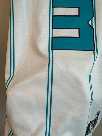 2021 Charlotte Hornets Terry Rozier III Away Jordan Swingman Jersey (L)