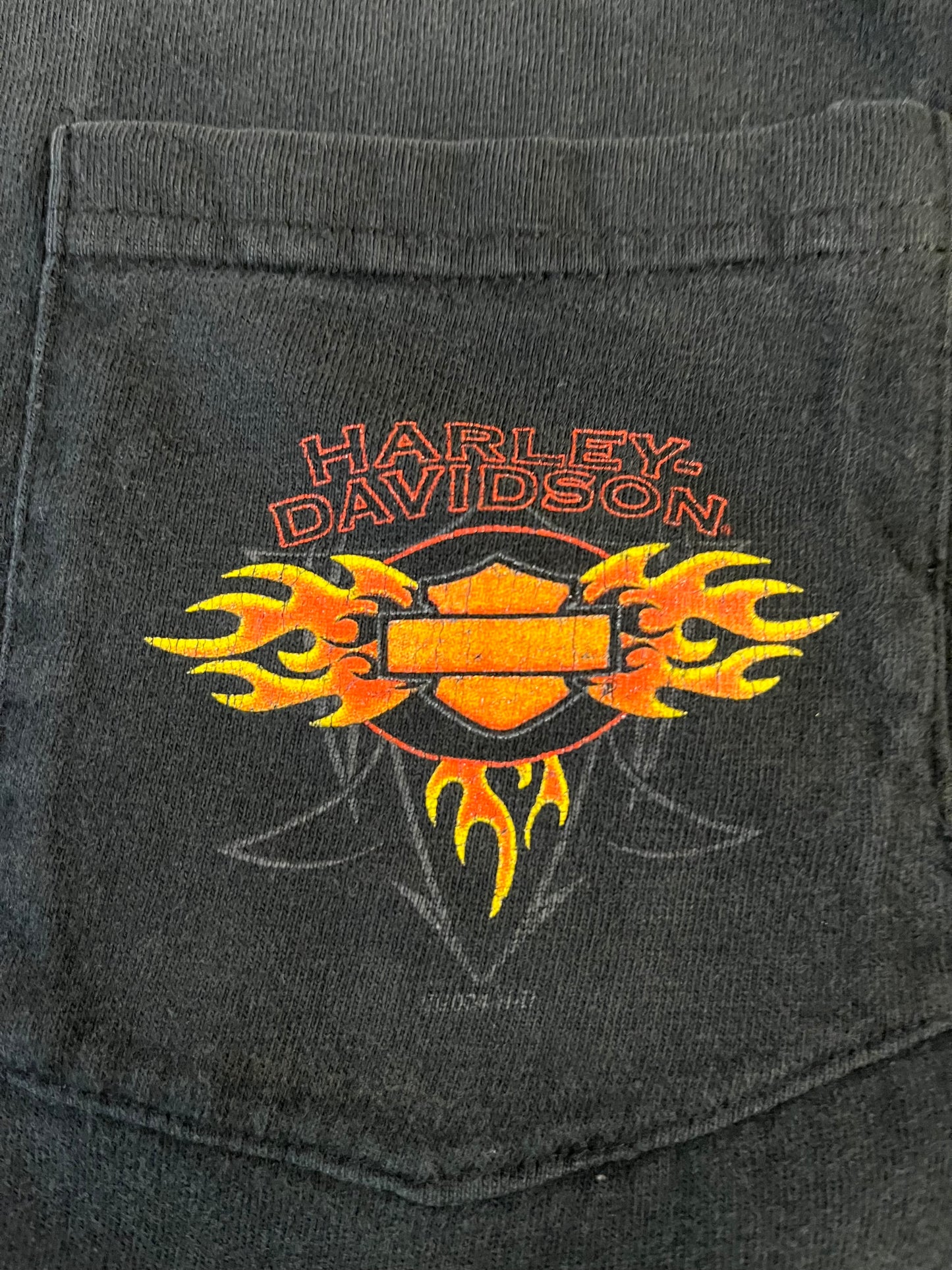2004 Harley Davidson McCoy's Green Bay Tee (XL)