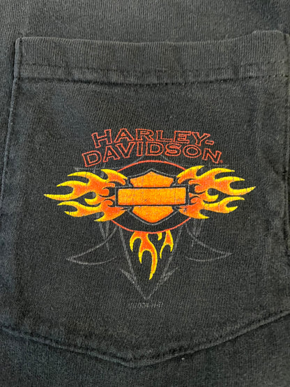 2004 Harley Davidson McCoy's Green Bay Tee (XL)
