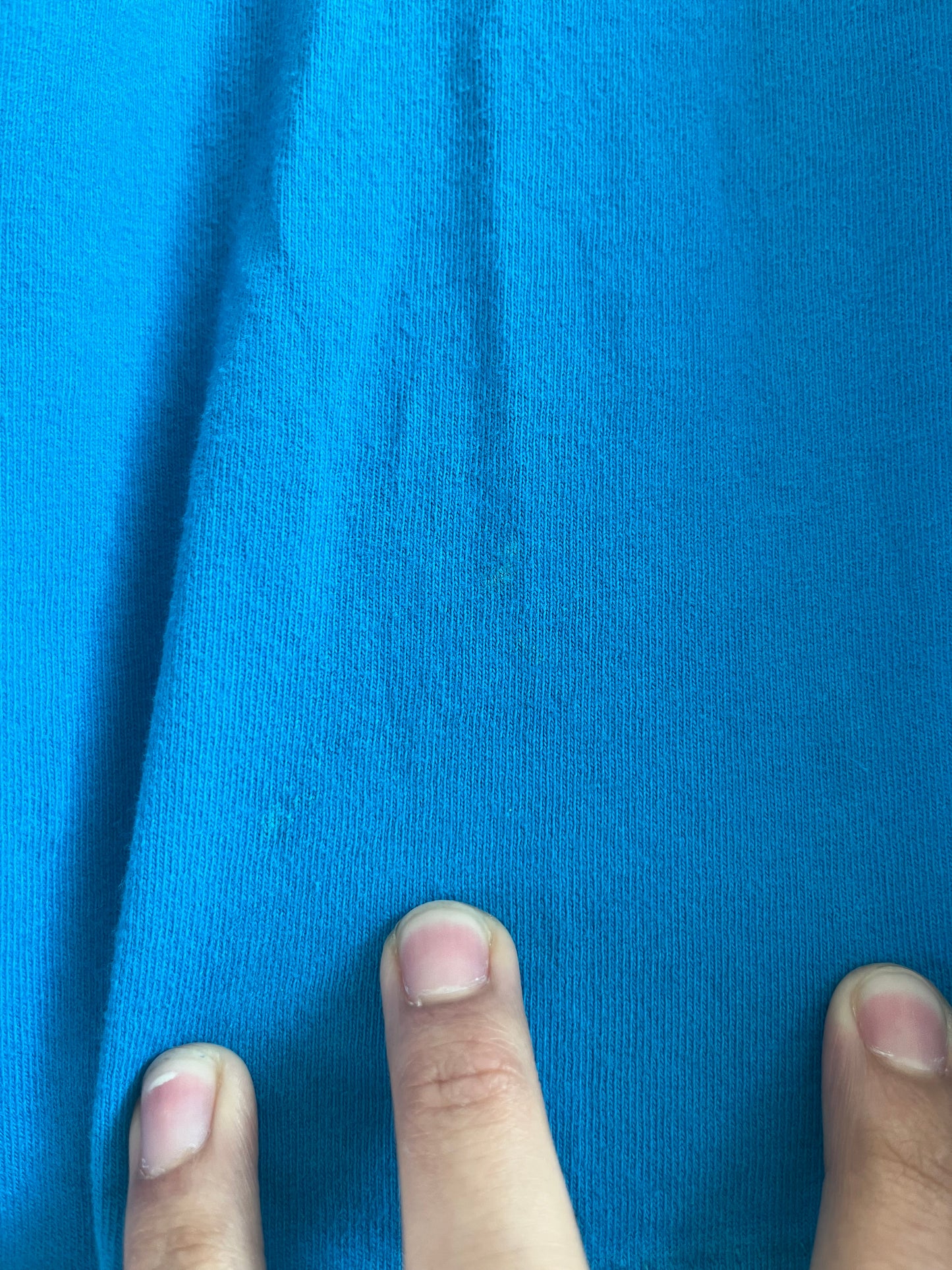 1996 Carolina Panthers Western Division Champs Tee (L)