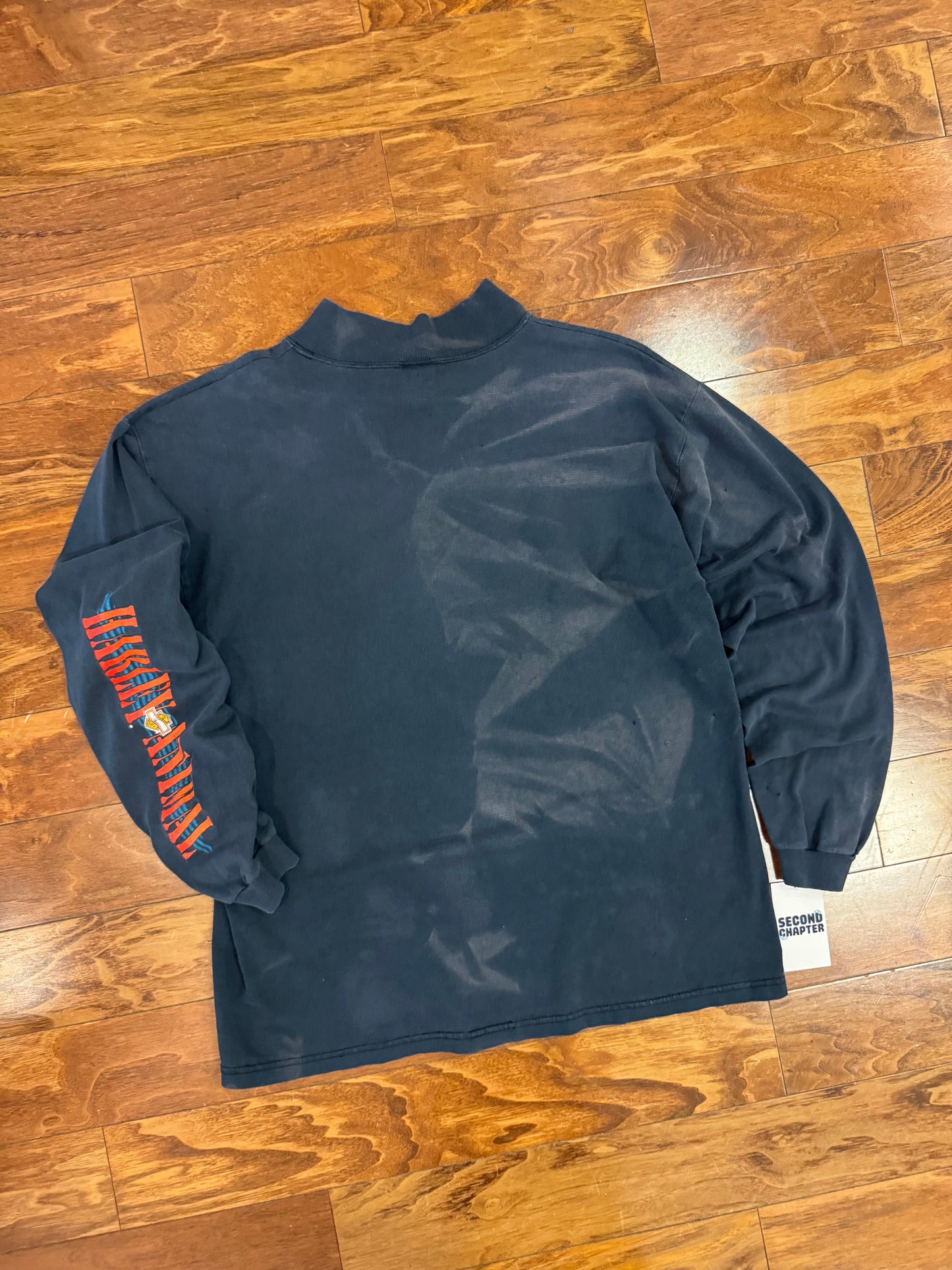 1993 Harley Davidson Taz "On A Roll" Faded Long Sleeve Tee (XL)
