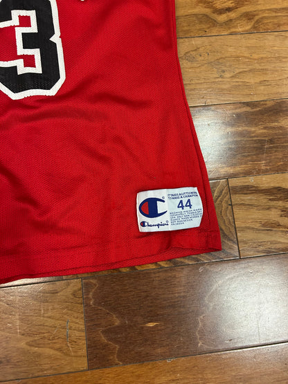 90s Chicago Bulls Scottie Pippen #33 Vintage Champion NBA Jersey (M)