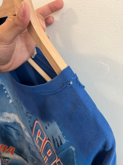 2010s Florida Gators UF Distressed AOP Blue Tee (XXL)