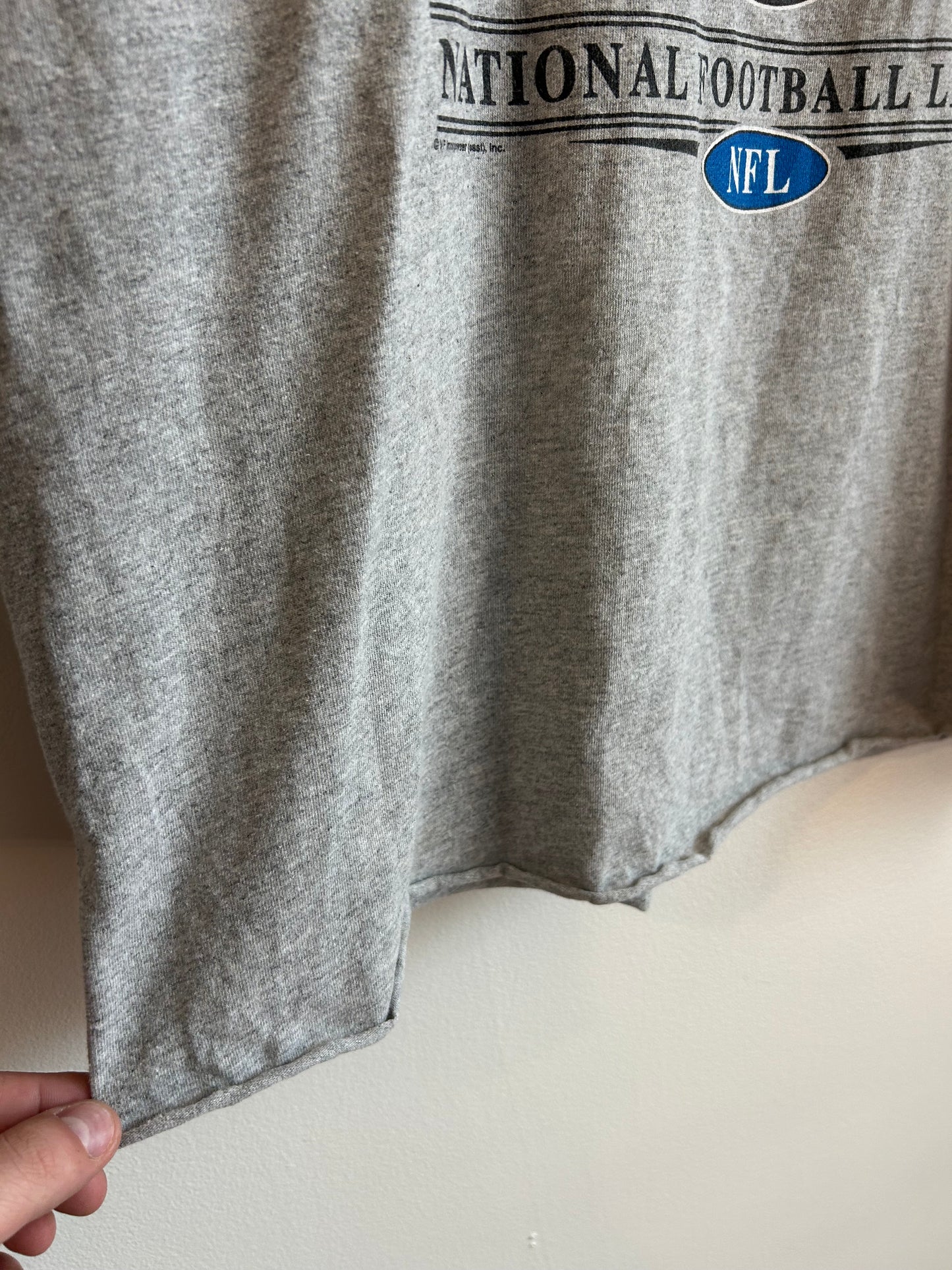 2001 Carolina Panthers Cropped Grey Tee (XL)