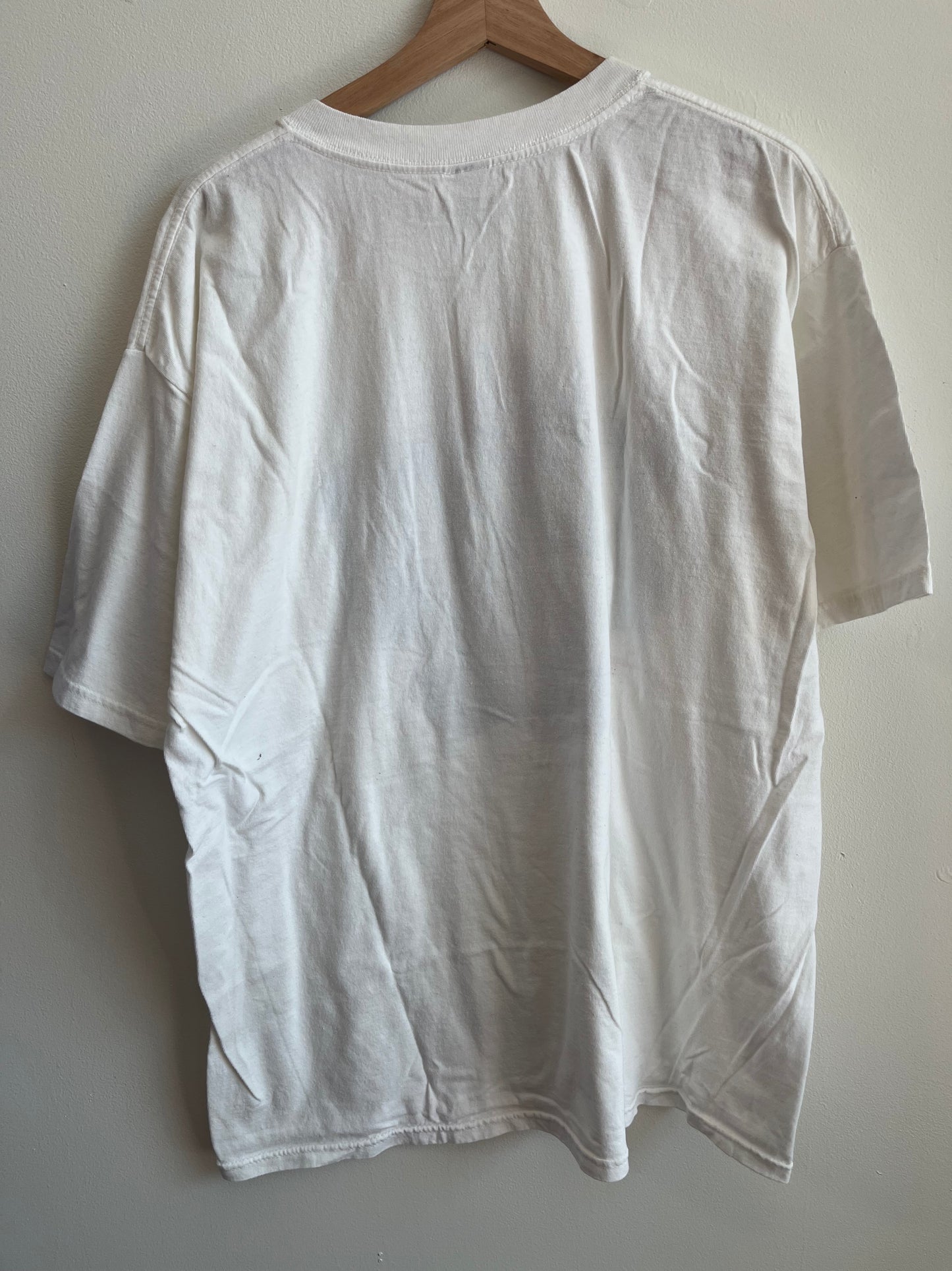 2004 New England Patriots vs Carolina Panthers White Tee (XL)