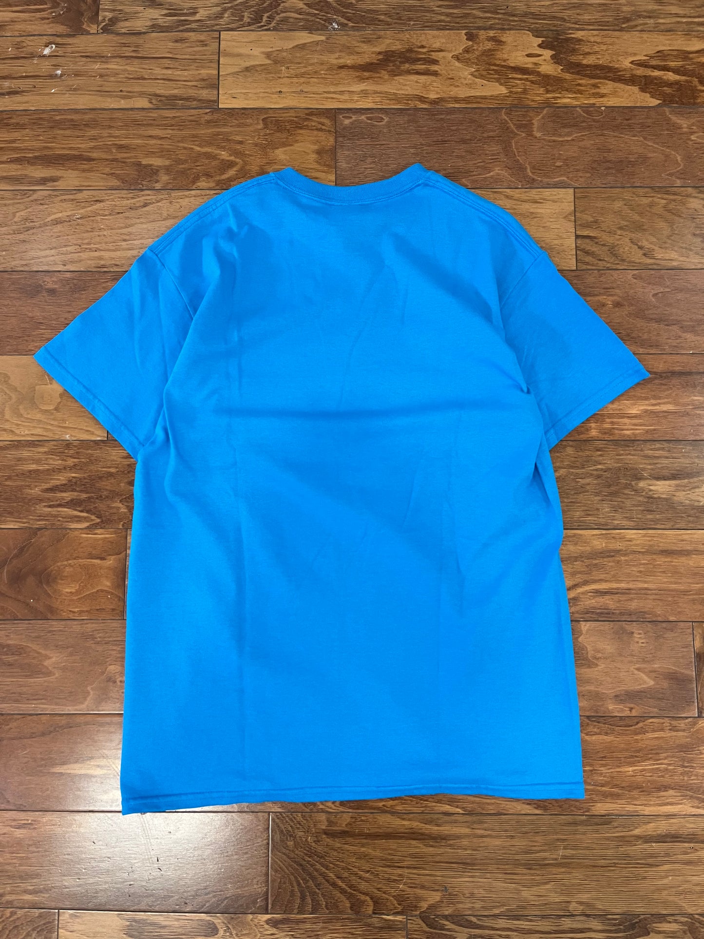 2015 Carolina Panthers Conference Champs Tee (M)