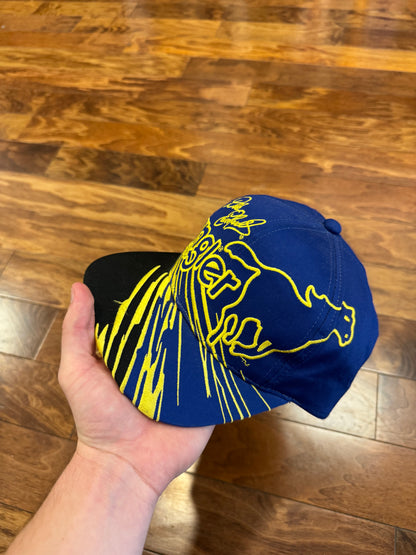 90s Dale Earnhardt Wrangler Jeans Nascar Rare Hat (OS)