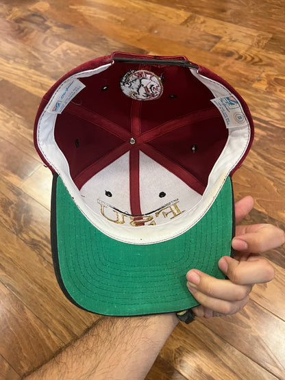 90s Florida State Univeristy The Game Hat