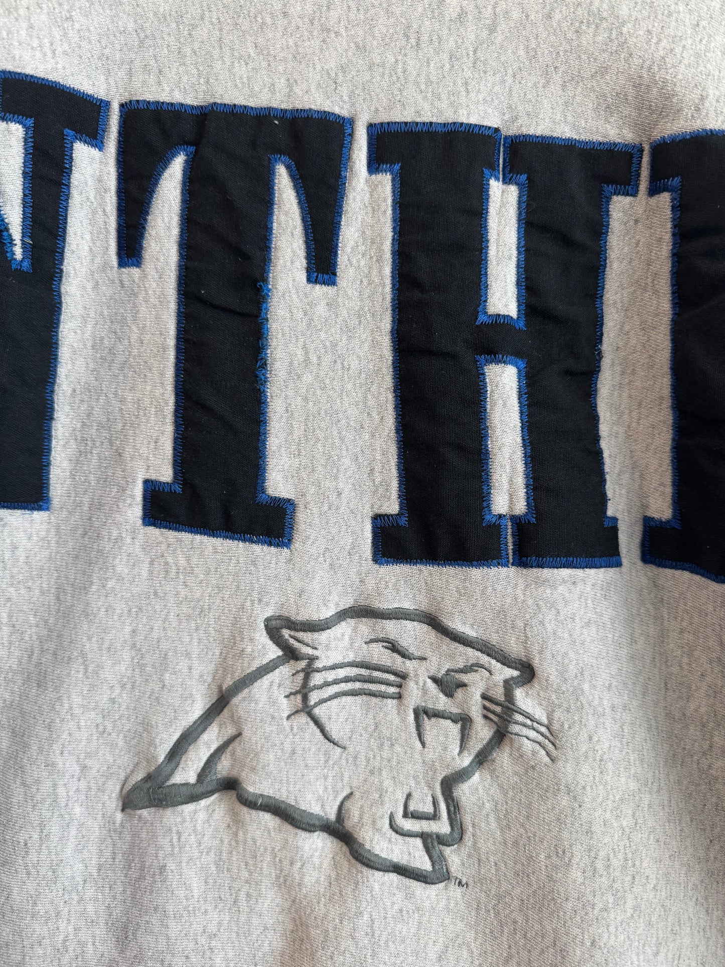 90s Carolina Panthers Legends Sleeve to Sleeve Spell Out Crewneck (XL)
