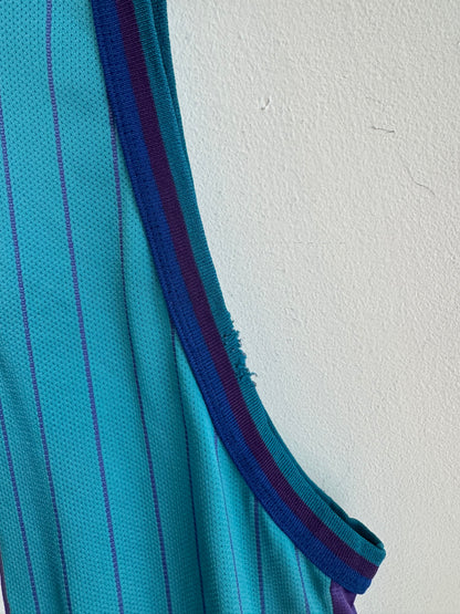 90s Charlotte Hornets Glen Rice Pinstripe NBA Champion Jersey (XL)