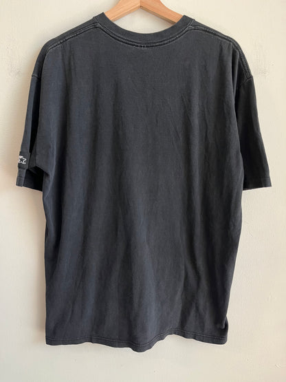 1993 Carolina Panthers Faded Starter Shadow Tee (L)
