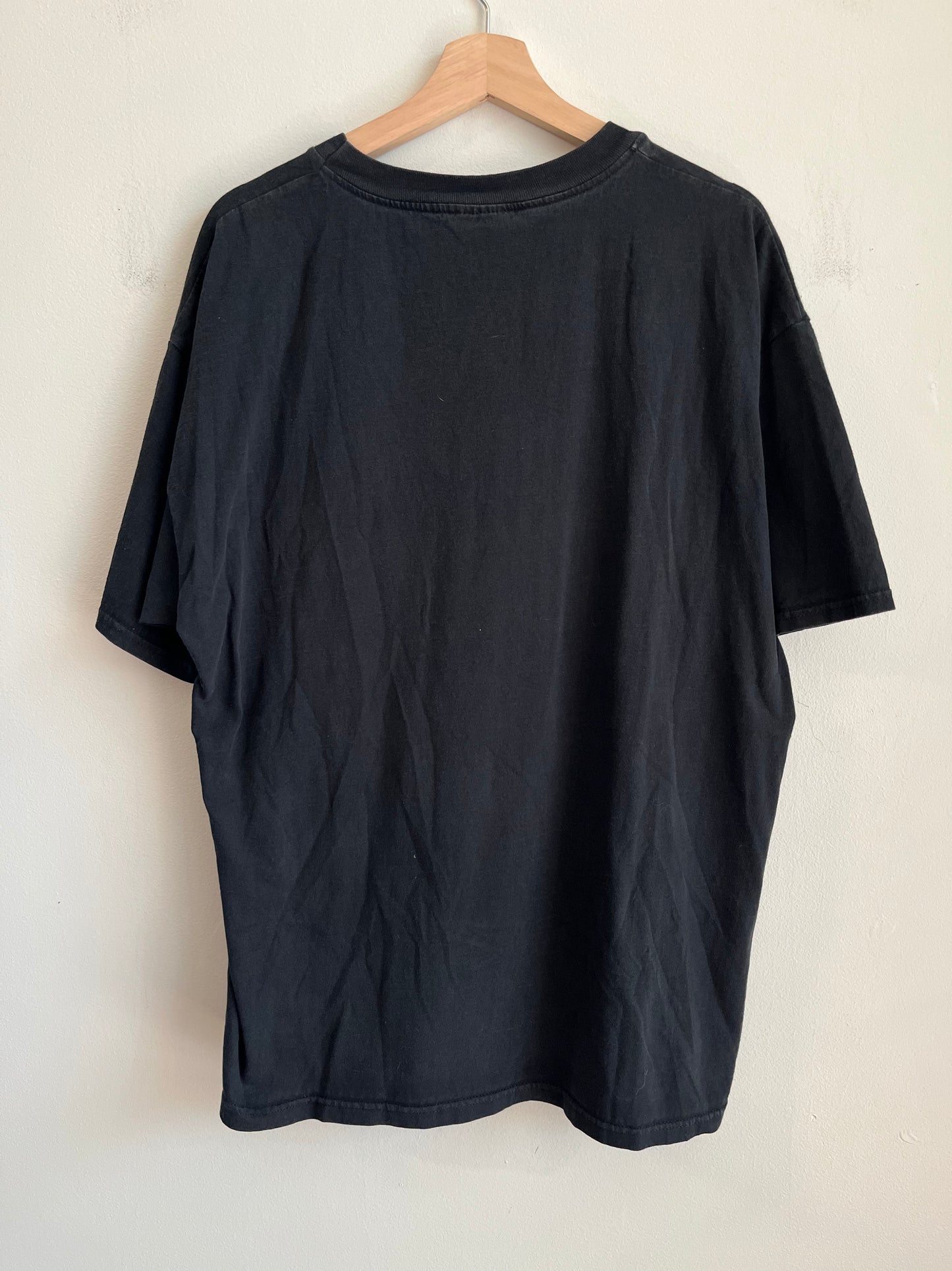 1996 Carolina Panthers Football Champion Tee (XL)
