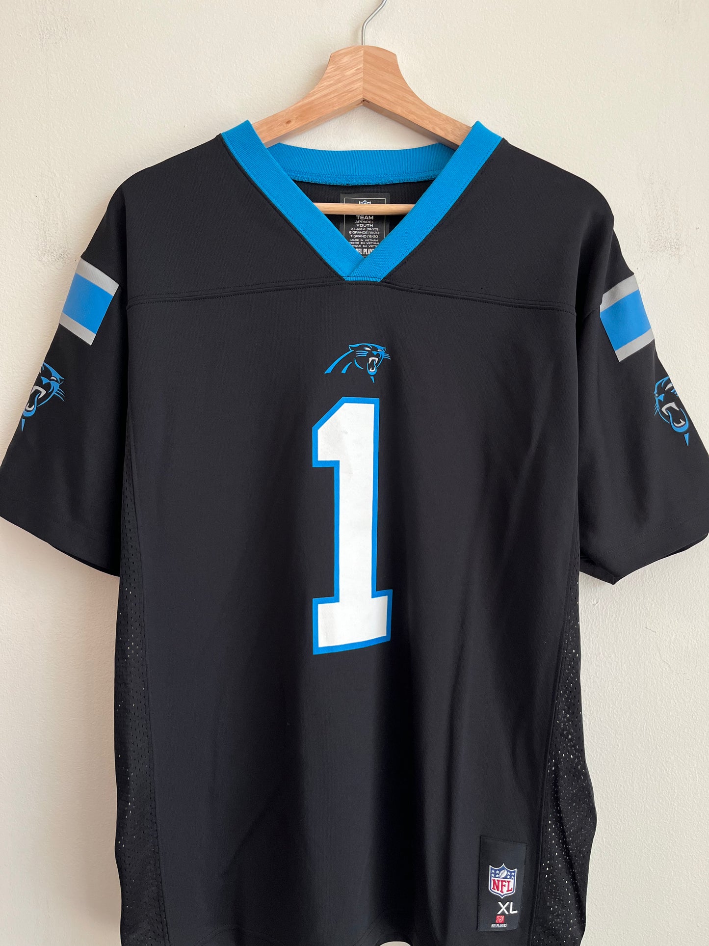 2010s Carolina Panthers Cam Newton NFL Players Jersey (Youth XL)