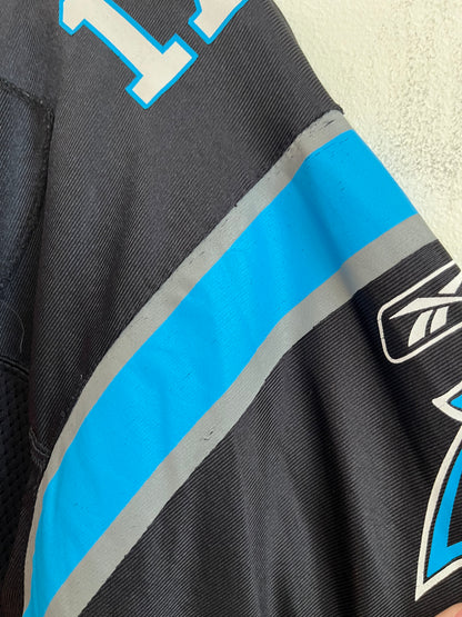 00s Carolina Panthers Jake Delhomme Reebok Home Jersey (Youth XL)