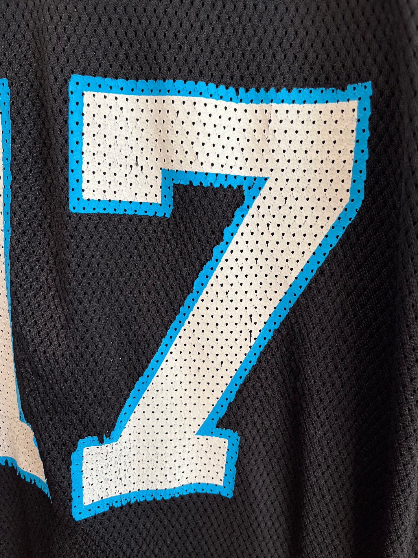 00s Carolina Panthers Jake Delhomme Reebok Home Jersey (Youth XL)