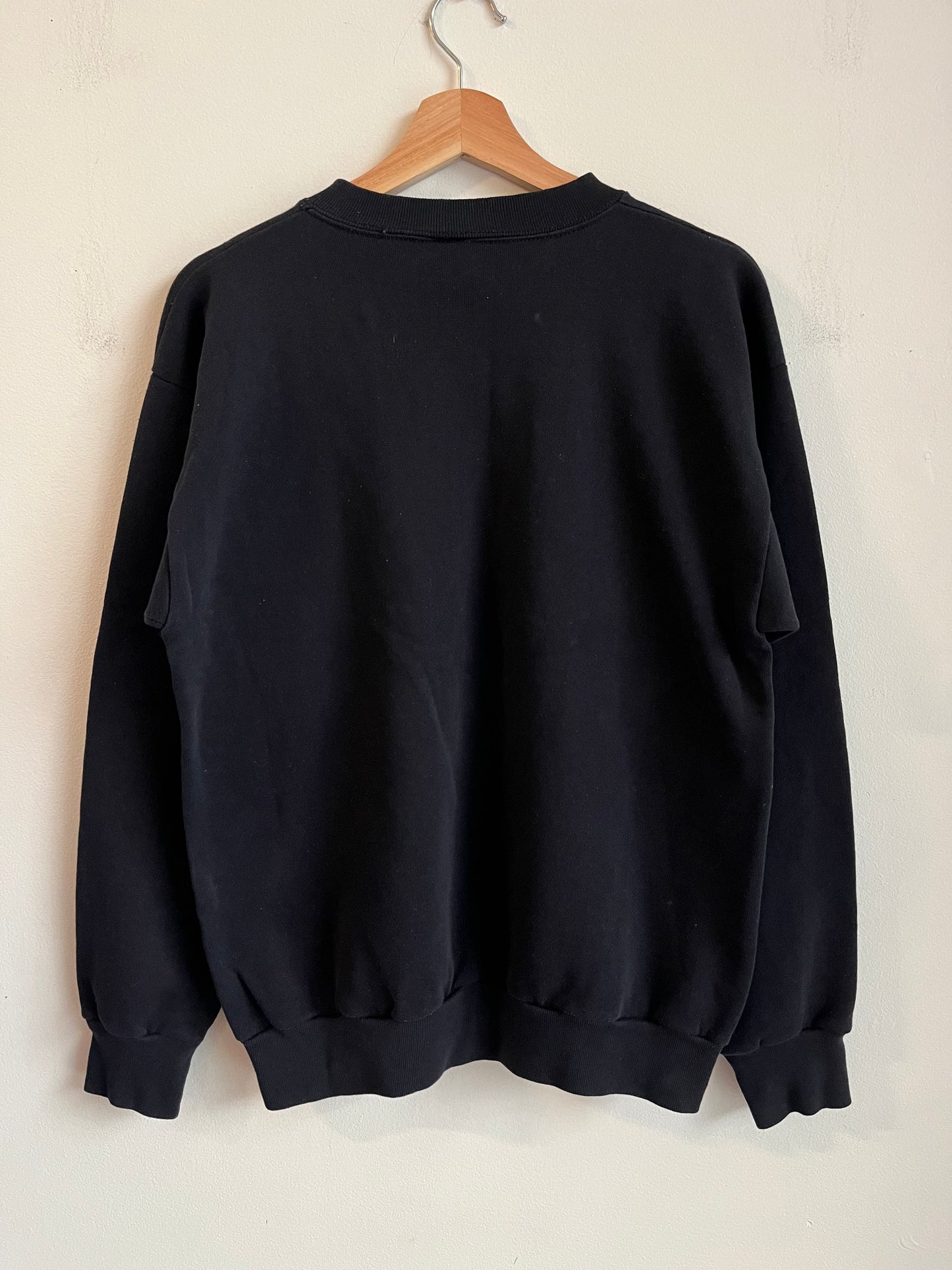 1993 Carolina Panthers Indomitable Spirit Rare Crewneck (L)