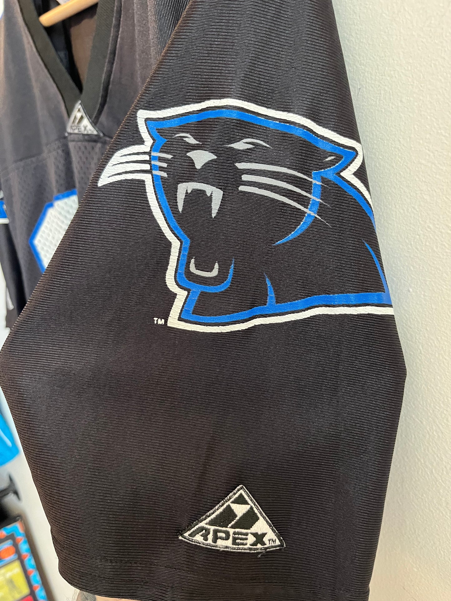 1995 Carolina Panthers Inaugural Season Apex Jersey (M)
