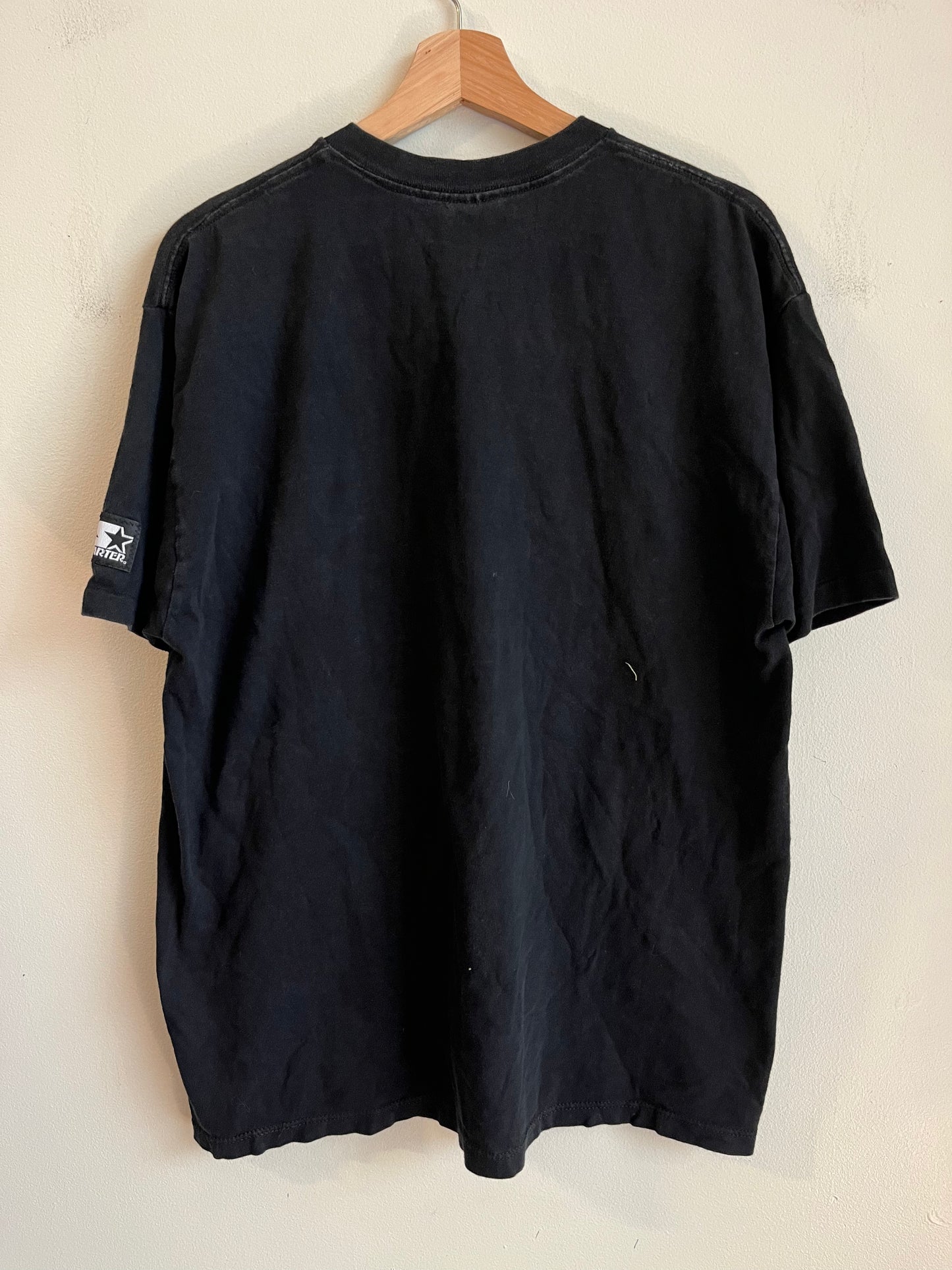 1995 Carolina Panthers Starter Spell Out Tee (L)