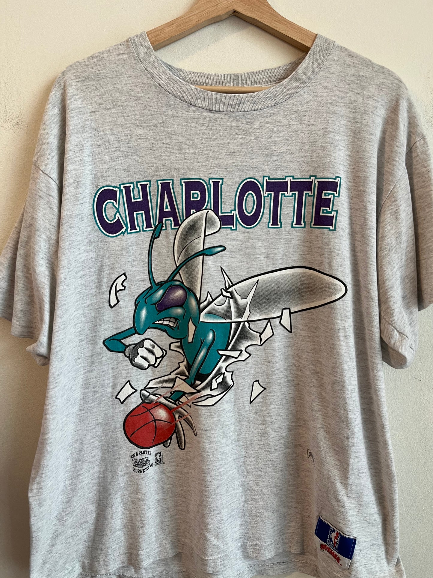 90s Charlotte Hornets Nutmeg Breakthrough Tee (L)