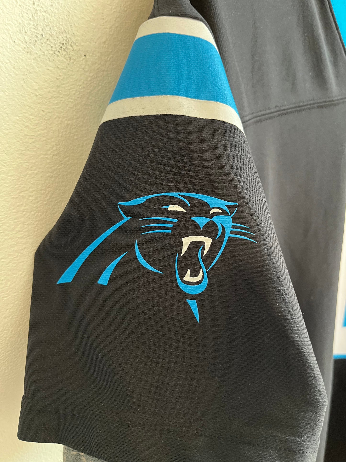 2010s Carolina Panthers Cam Newton NFL Players Jersey (Youth XL)