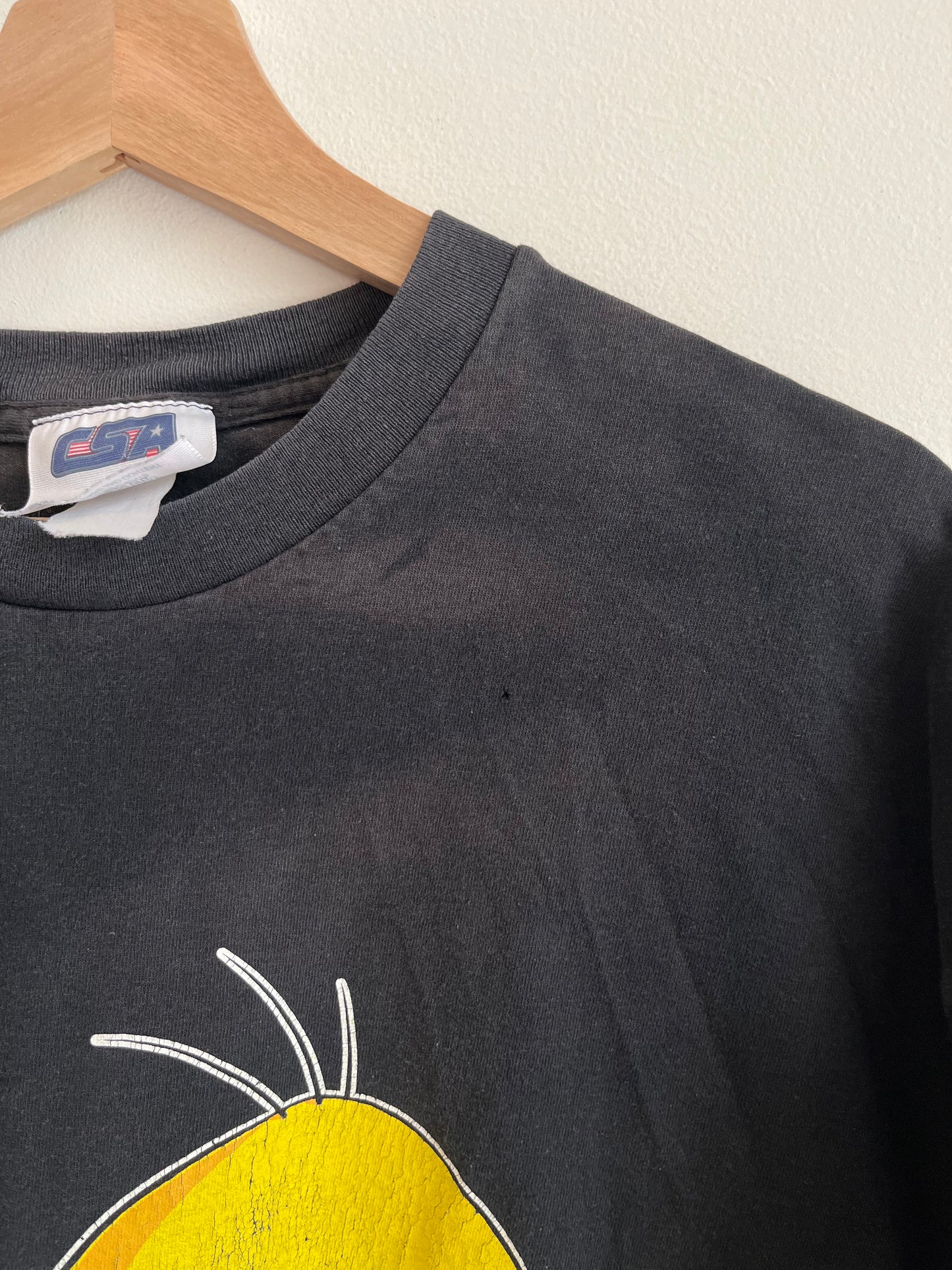 90s Carolina Panthers Tweety Bird Faded Tee (L)