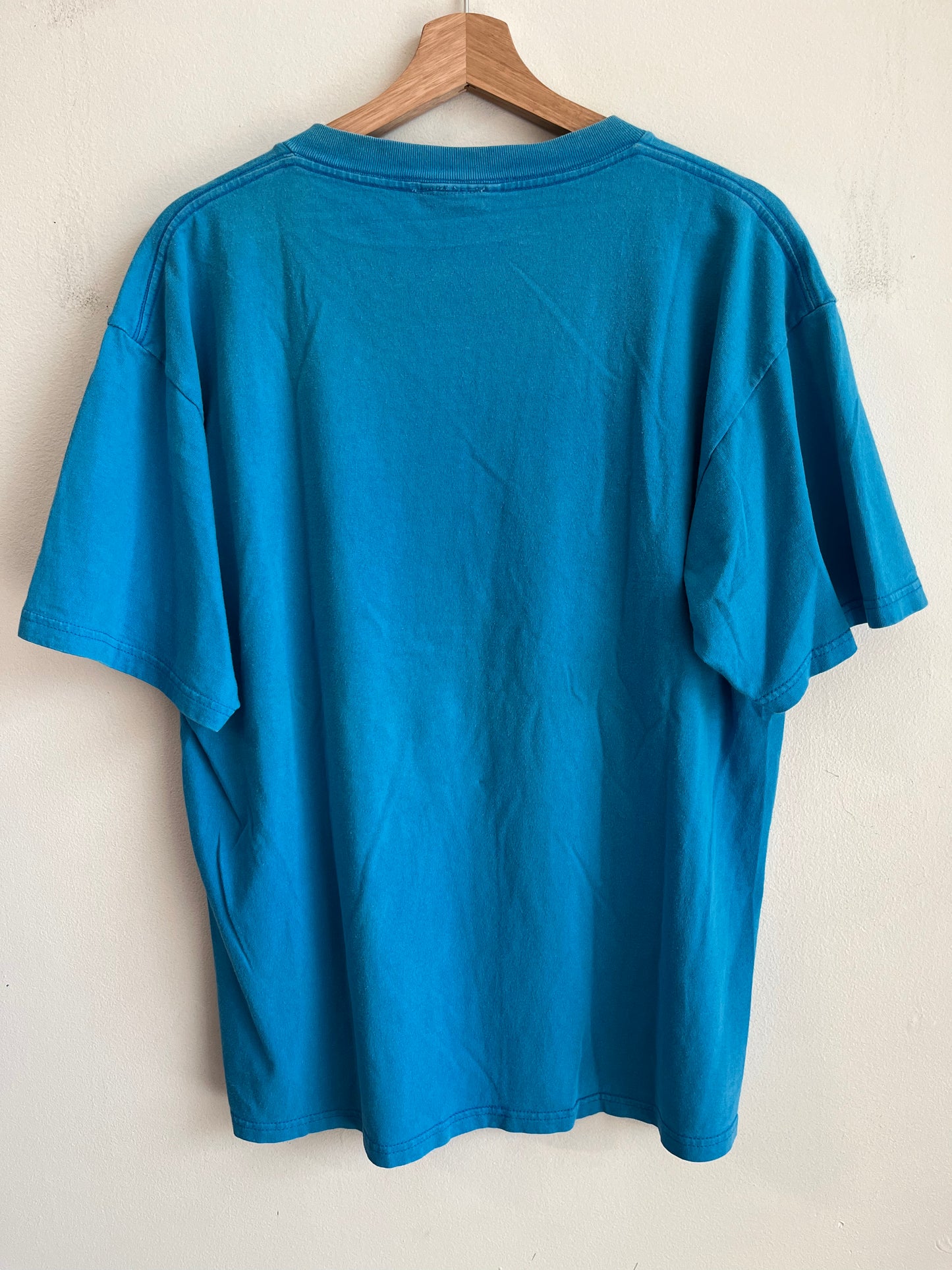 00s Carolina Panthers Blue Cat Scratch Tee (L)