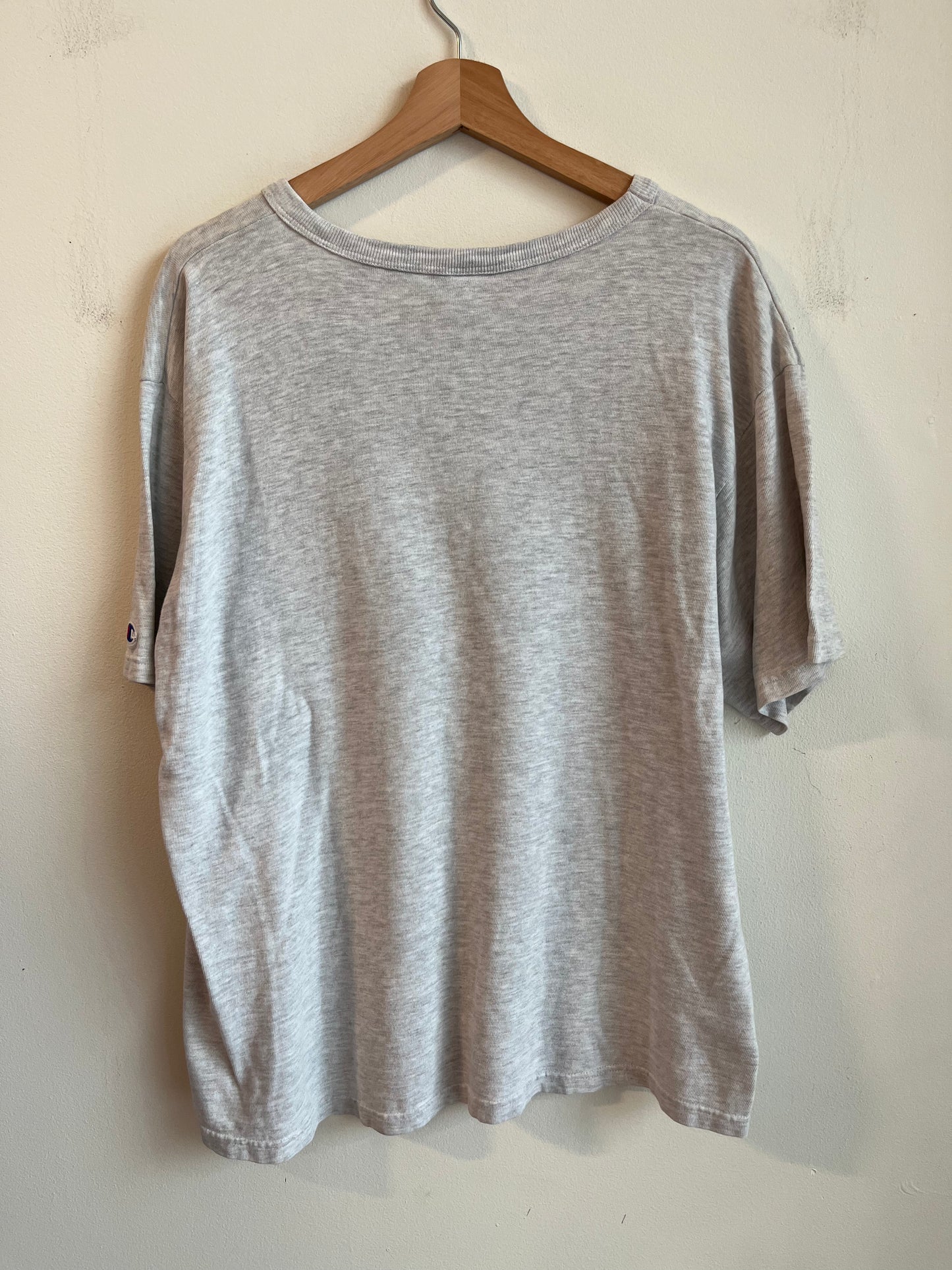 90s Carolina Panthers Champion XXL Tee (L)