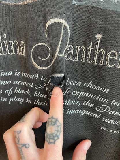 1993 Carolina Panthers Distressed & Faded Nutmeg Tee (XXL)
